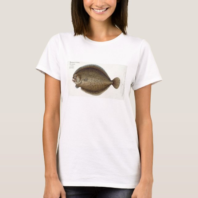 Turbot (Pleuronectes Maximus) plate XLIX from 'Ich T-Shirt (Front)