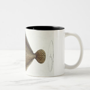 Turbot (Pleuronectes Maximus) plate XLIX from 'Ich Two-Tone Coffee Mug