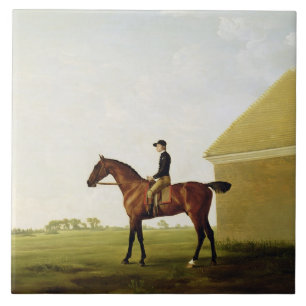 Turf, c.1765 (oil on canvas) (see 152743) tile