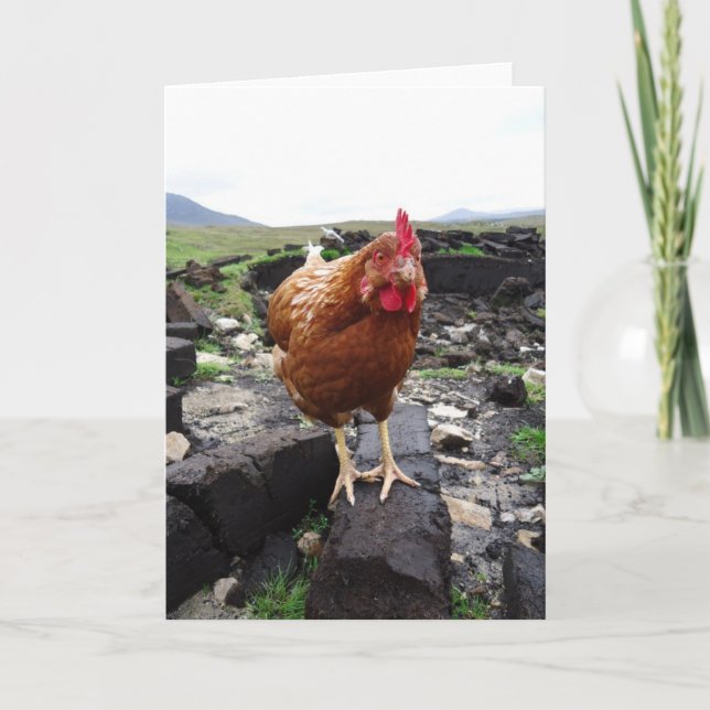 Turf chicken, Ireland Card (Front)