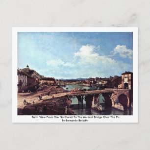 Turin View From The Northeast Postcard
