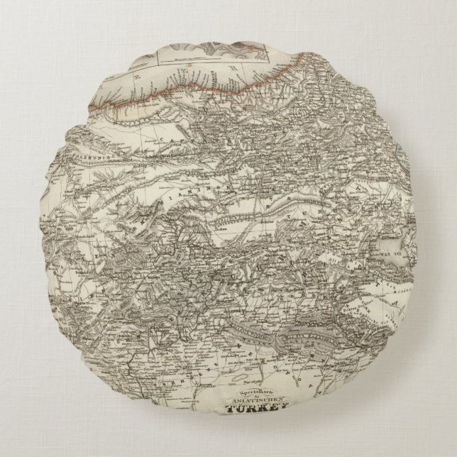 Turkey 5 round pillow (Front)