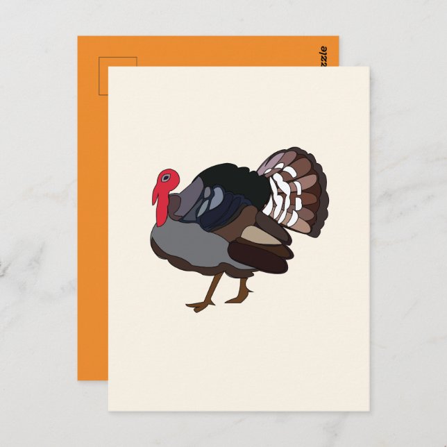 Turkey Bird Turkey Postcard (Front/Back)
