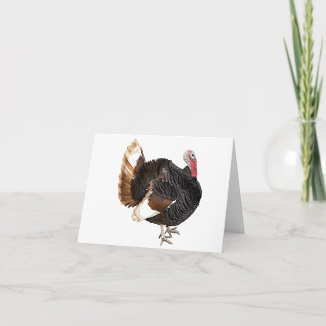 Turkey blank card (Front)