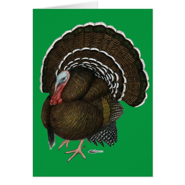 Turkey Bronze Tom (Front)