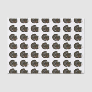 Turkey Bronze Tom Tissue Paper