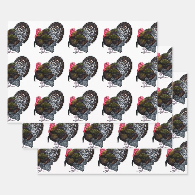 Turkey:  Bronze Tom Wrapping Paper Sheet (Set)