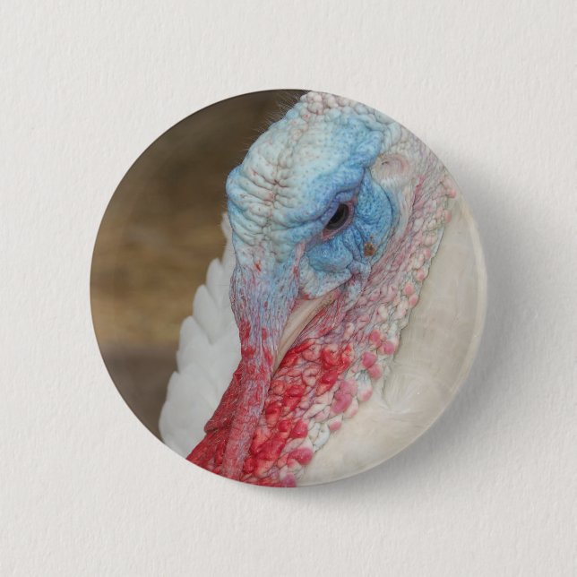Turkey Button (Front)