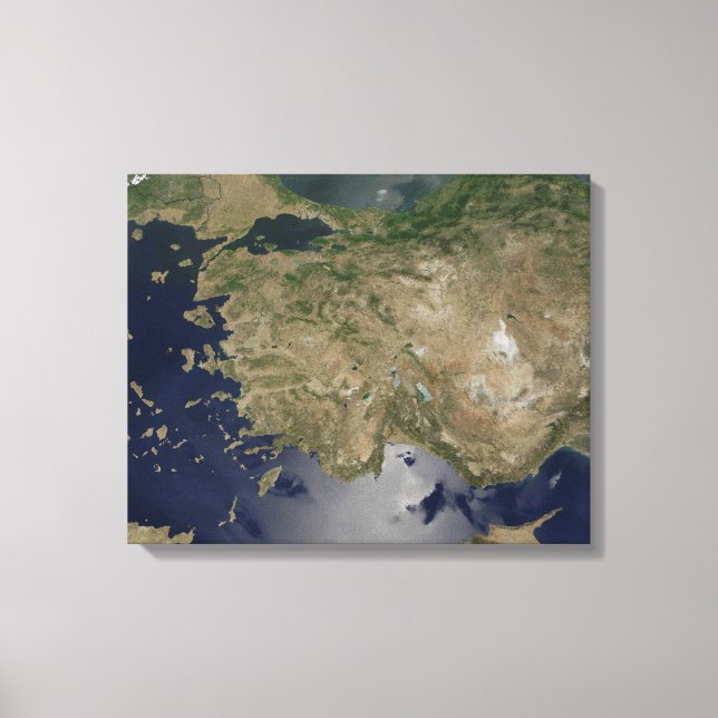 Turkey Canvas Print (Front)