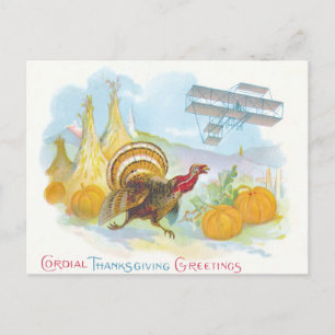 Turkey Chasing An Airplane In A Field Postcard