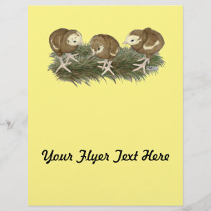 Turkey Chocolate Poults Flyer