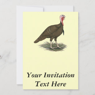 Turkey Chocolate Tom Invitation