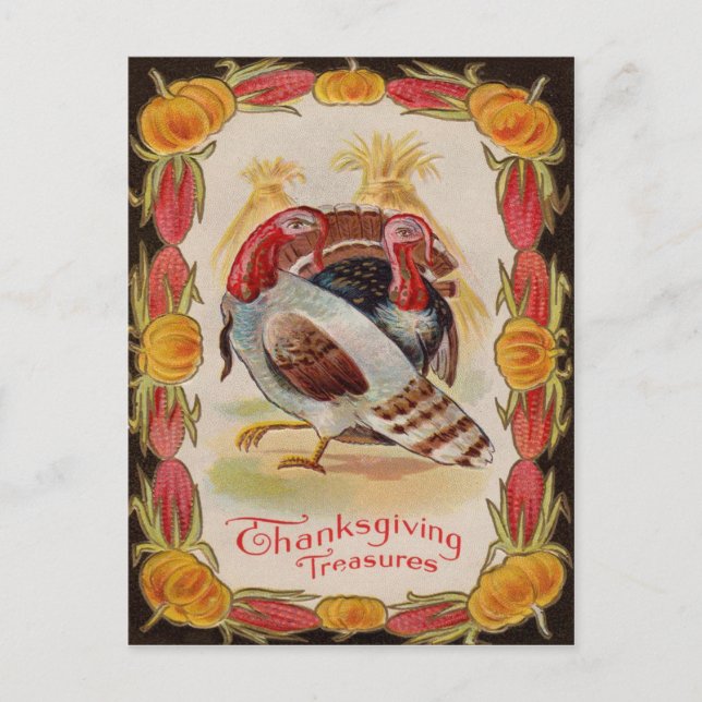 Turkey Corn Shock Stalk Pumpkin Indian Corn Postcard (Front)
