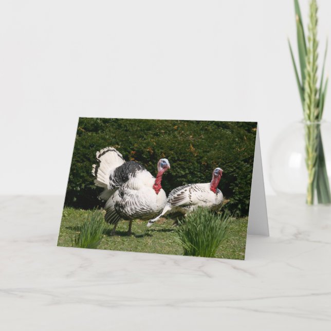 Turkey couple holiday card (Front)