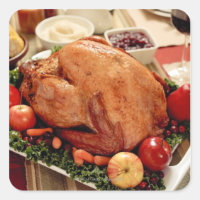 Turkey Dinner Meal