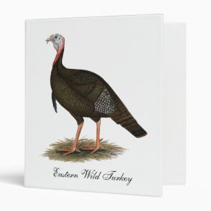 Turkey: Eastern Wild Tom Binder