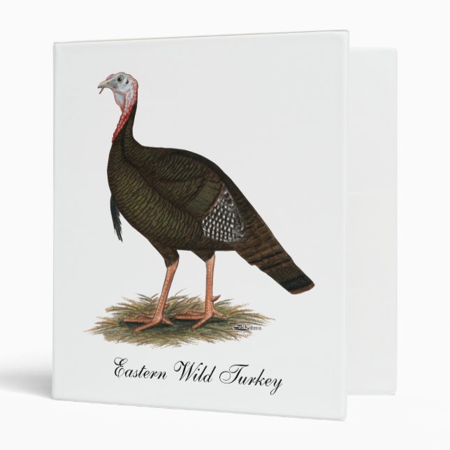 Turkey:  Eastern Wild Tom Binder (Front/Inside)