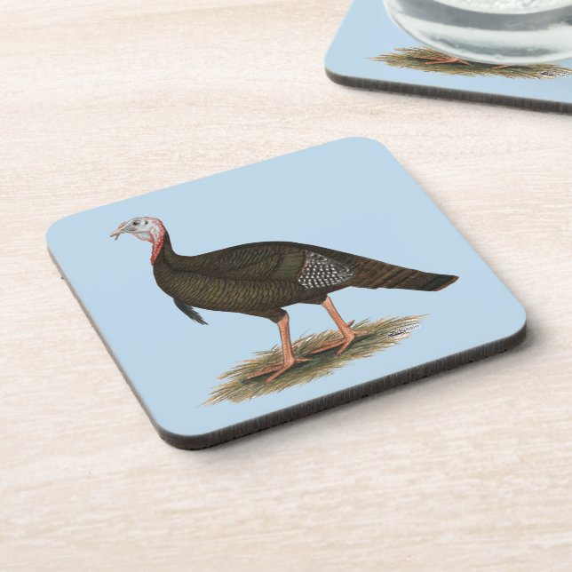 Turkey:  Eastern Wild Tom Coaster (Left Side)