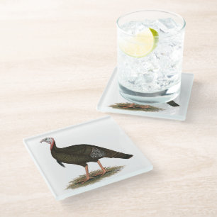 Turkey:  Eastern Wild Tom Glass Coaster