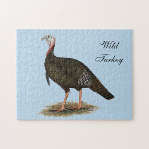 Turkey: Eastern Wild Tom Jigsaw Puzzle