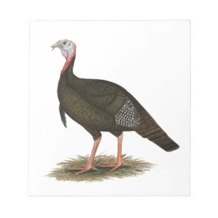 Turkey: Eastern Wild Tom Notepad