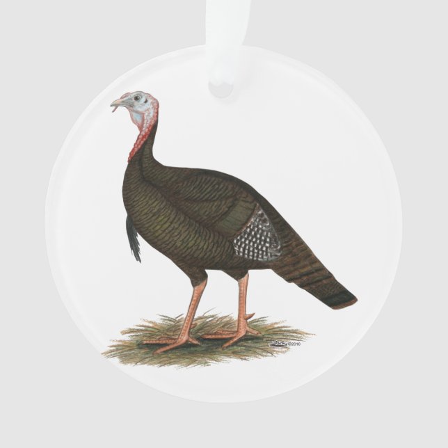 Turkey:  Eastern Wild Tom Ornament (Front)