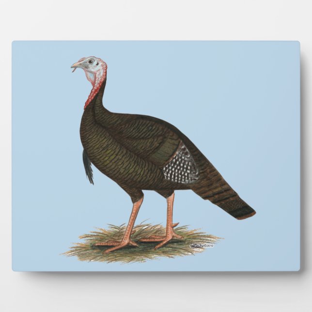 Turkey:  Eastern Wild Tom Plaque (Front)