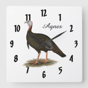 Turkey:  Eastern Wild Tom Square Wall Clock