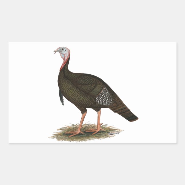 Turkey:  Eastern Wild Tom Sticker (Front)