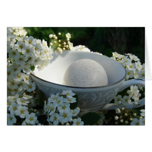 Turkey Egg in Teacup (Front Horizontal)