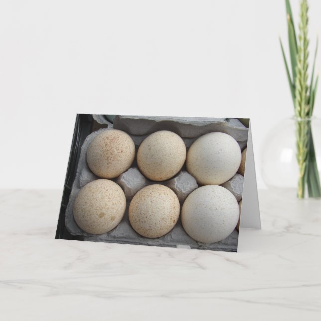 Turkey Eggs Card (Front)