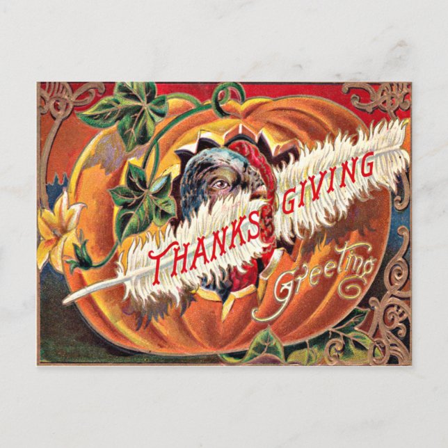 Turkey Feather Pumpkin Flowers Postcard (Front)