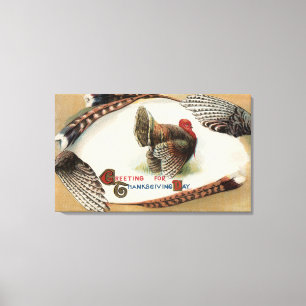 Turkey Feathers Canvas Print