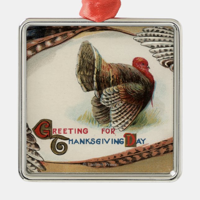 Turkey Feathers Metal Ornament (Front)
