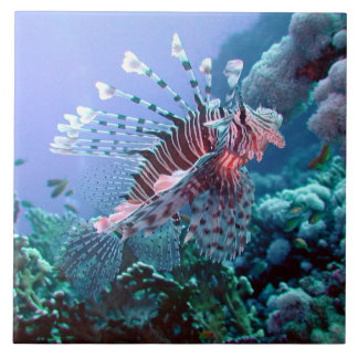 Turkey Fish Tile