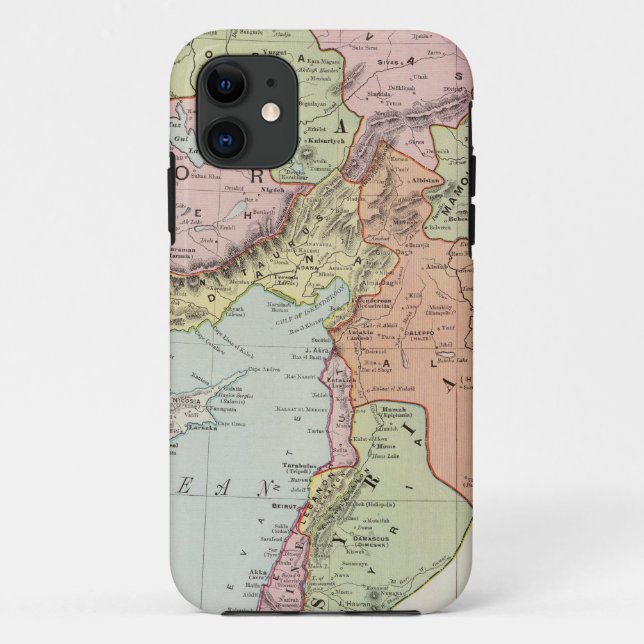 Turkey in Asia 6 Case-Mate iPhone Case (Back)