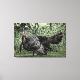 Turkey In the Woods- Sage Green B&W Poster Canvas Print