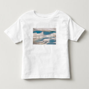 Turkey, Pamukkale Cotton Castle). Toddler T-shirt