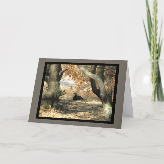 Turkey Paradise Blank Greeting Card (Front)