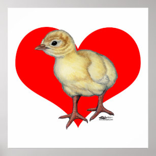 Turkey Poult Heart Poster