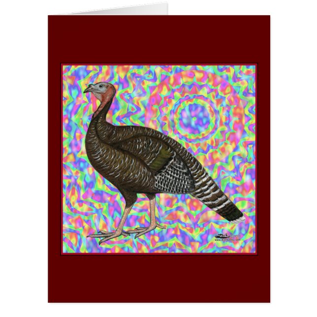 Turkey Rainbow (Front)