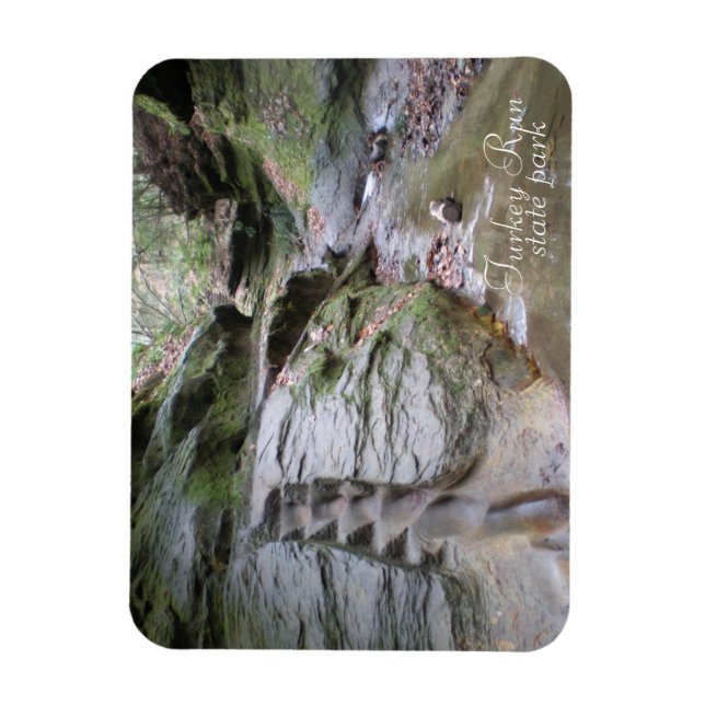 Turkey Run State Park Eroded Stairs Magnet (Vertical)