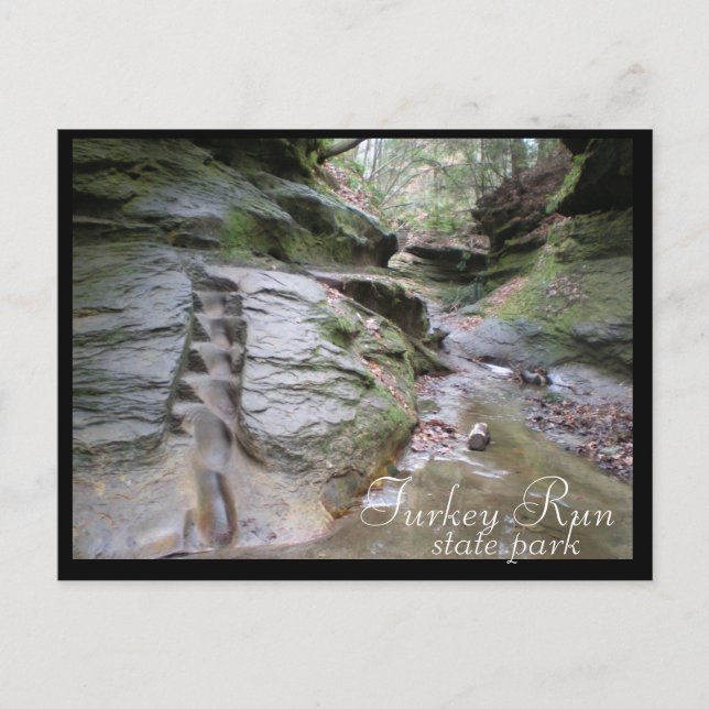 Turkey Run State Park Eroded Stairs Postcard (Front)