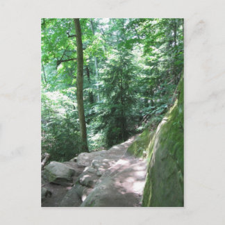 Turkey Run Trail Postcard