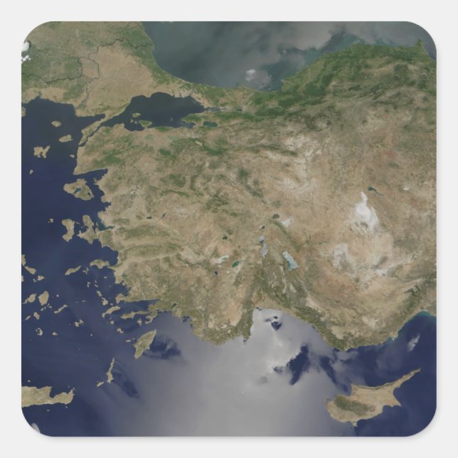 Turkey Square Sticker (Front)