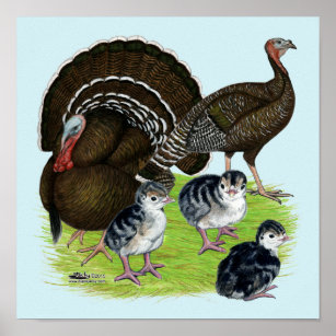 Turkey Standard Bronze Family Poster