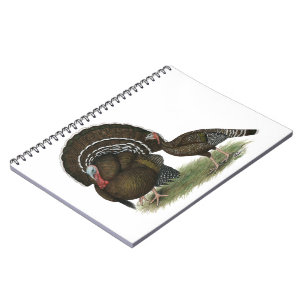 Turkey Standard Bronze Notebook