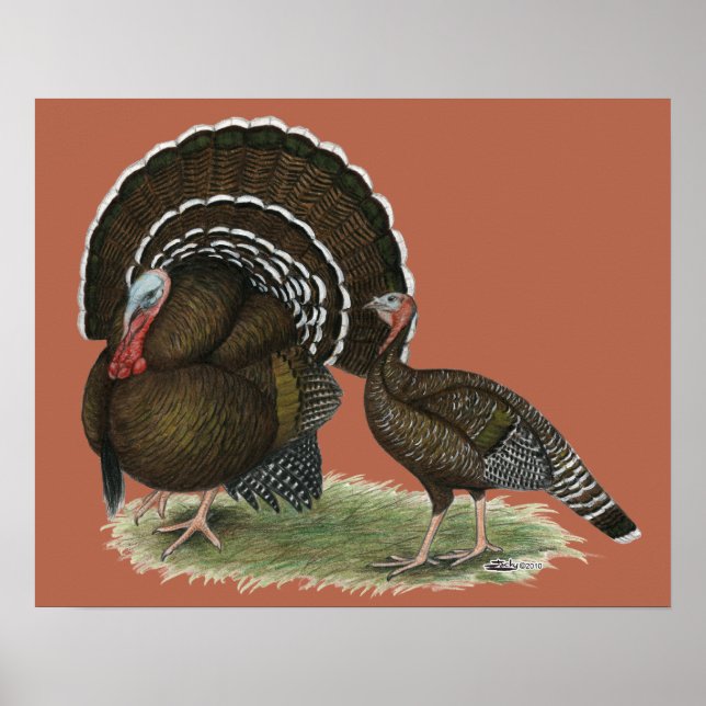 Turkey Standard Bronze Poster (Front)