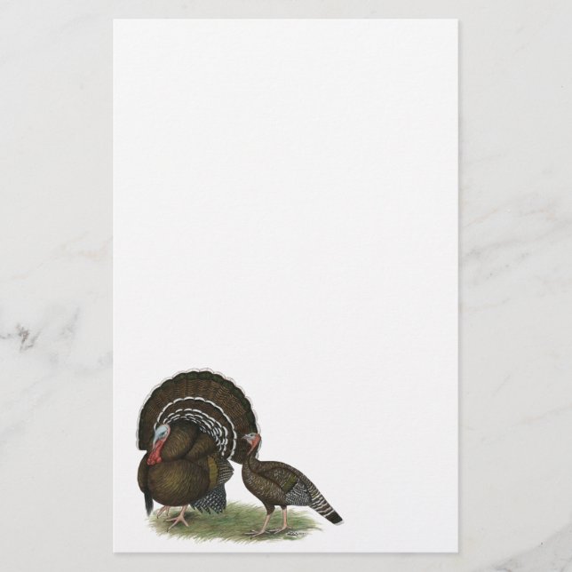 Turkey Standard Bronze Stationery (Front)