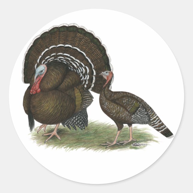 Turkey Standard Bronze Sticker (Front)